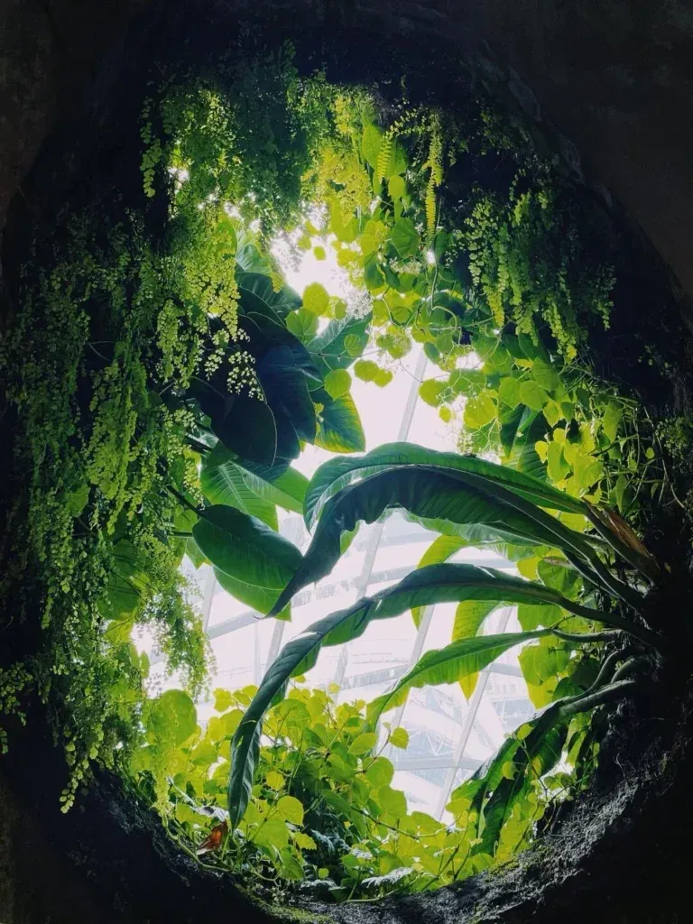 Singapore travel-gardens by the bay