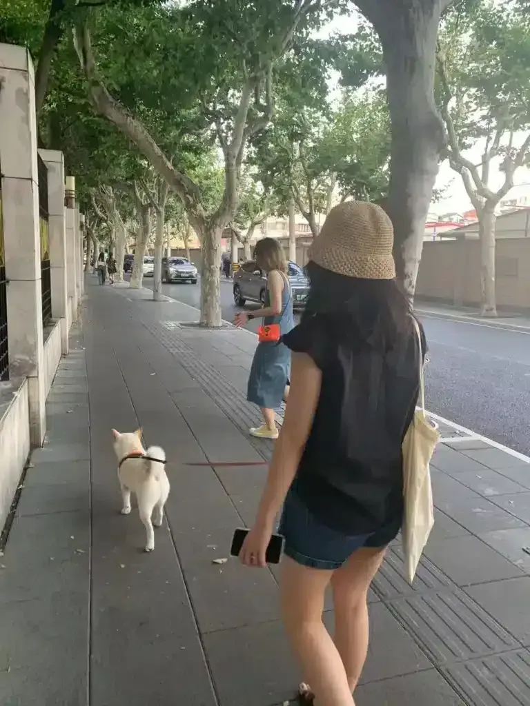 Shanghai huaihai road walking