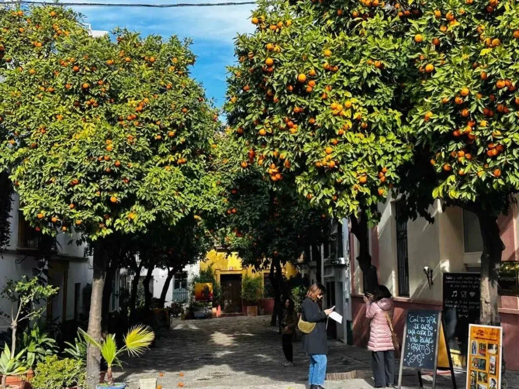 Slow travel Seville -orange