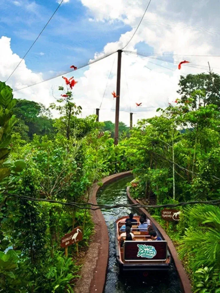 Singapore travel-river safari