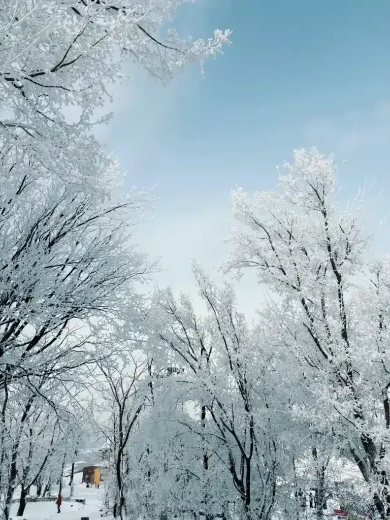 Songhua Lake - ski resorts in china