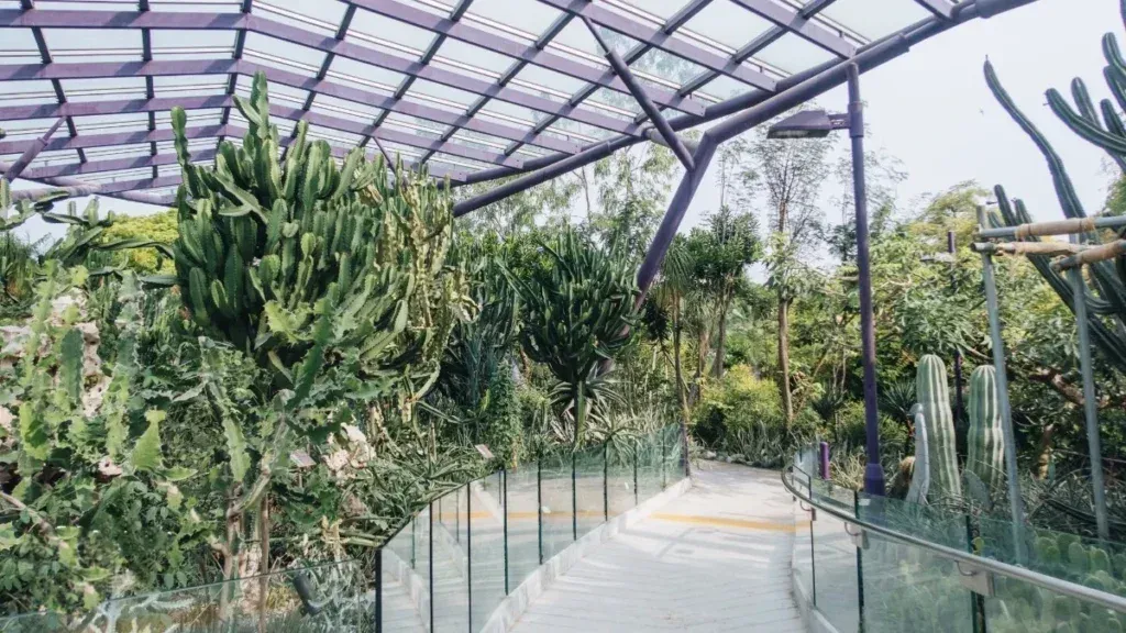 Singapore Travel-gardens by the bay