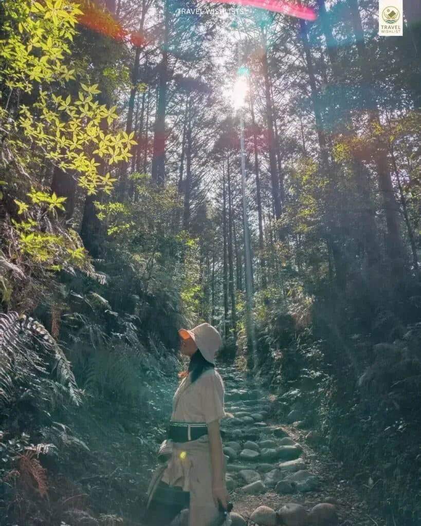 Kumano kodo trail