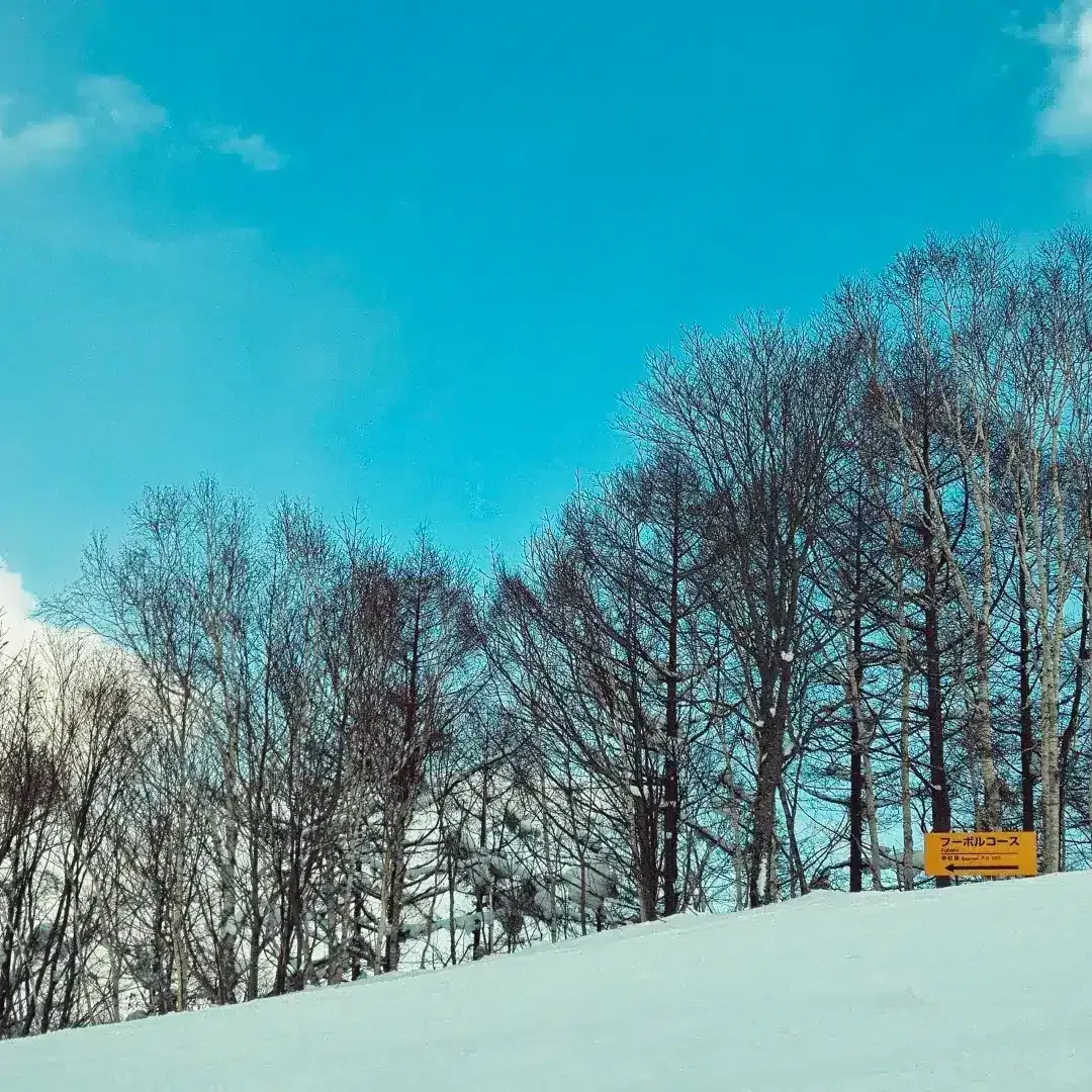 Rusutsu ski resort sight - ski resorts in asia