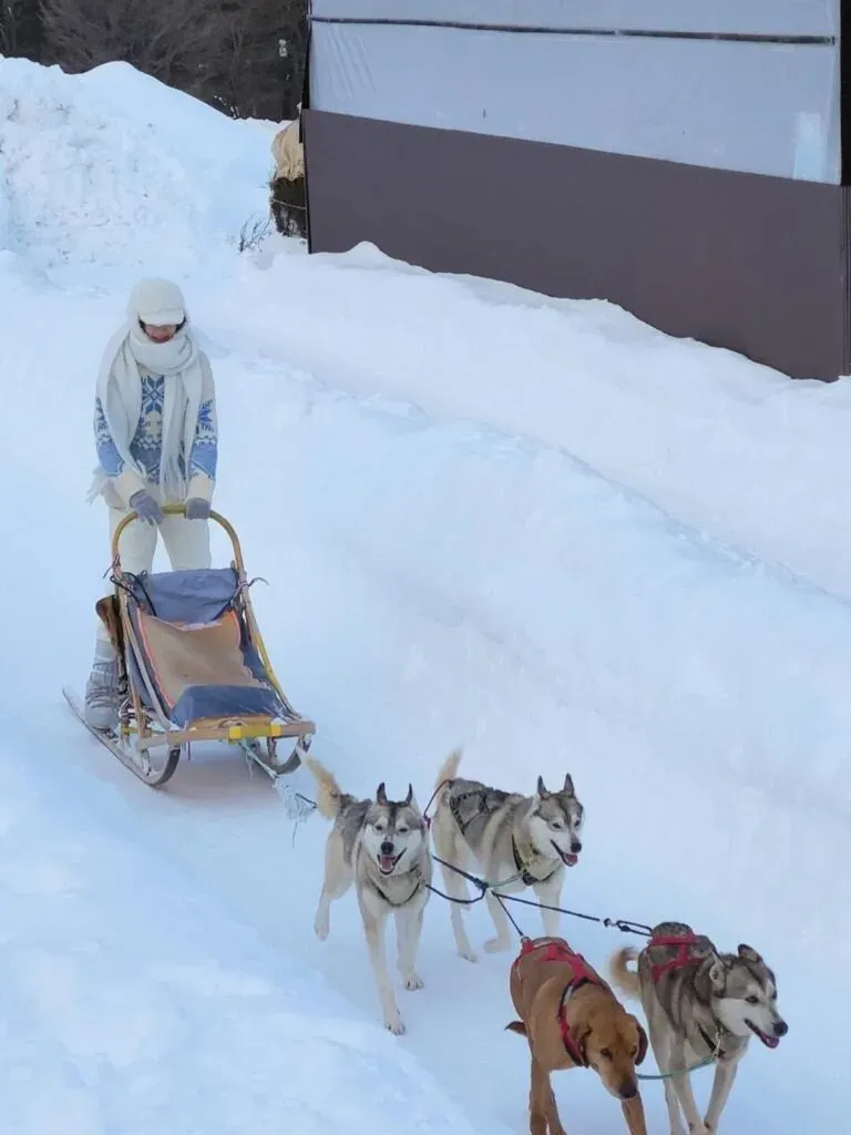 Japan budget-friendly ski resorts