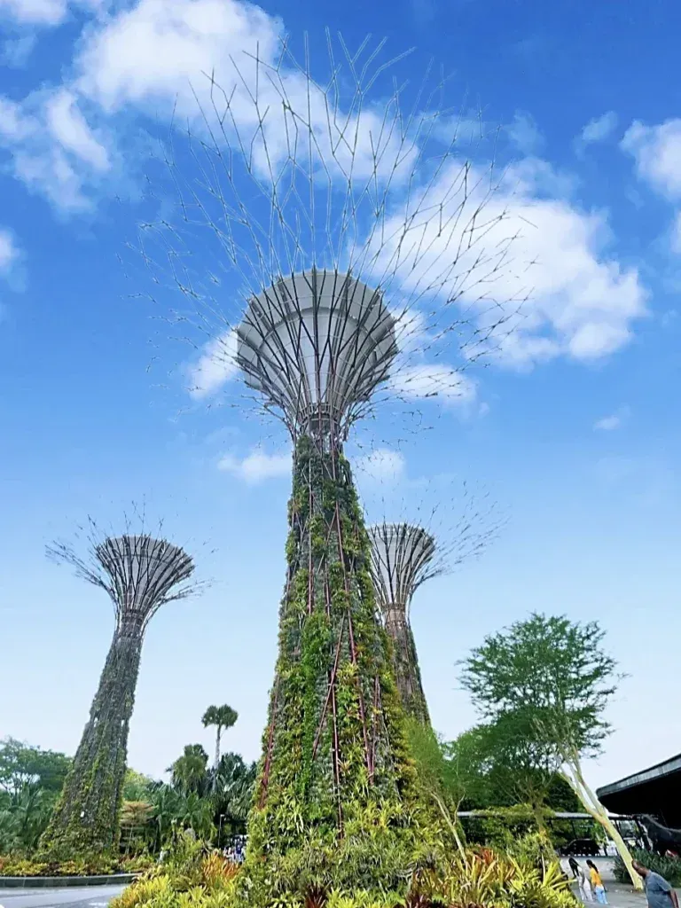 Singapore Travel-gardens by the bay