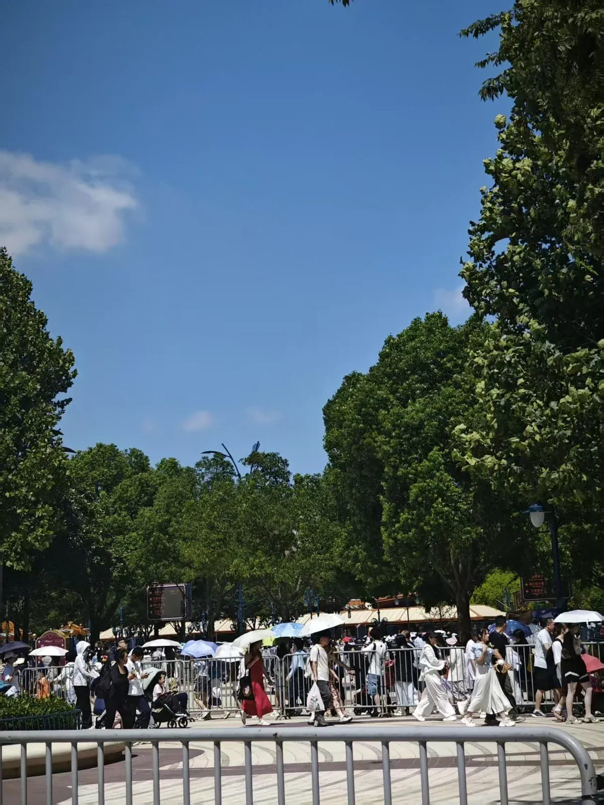 A dense crowd of visitors behind metal barriers under a clear blue summer sky, many holding umbrellas for shade, waiting to enter the park