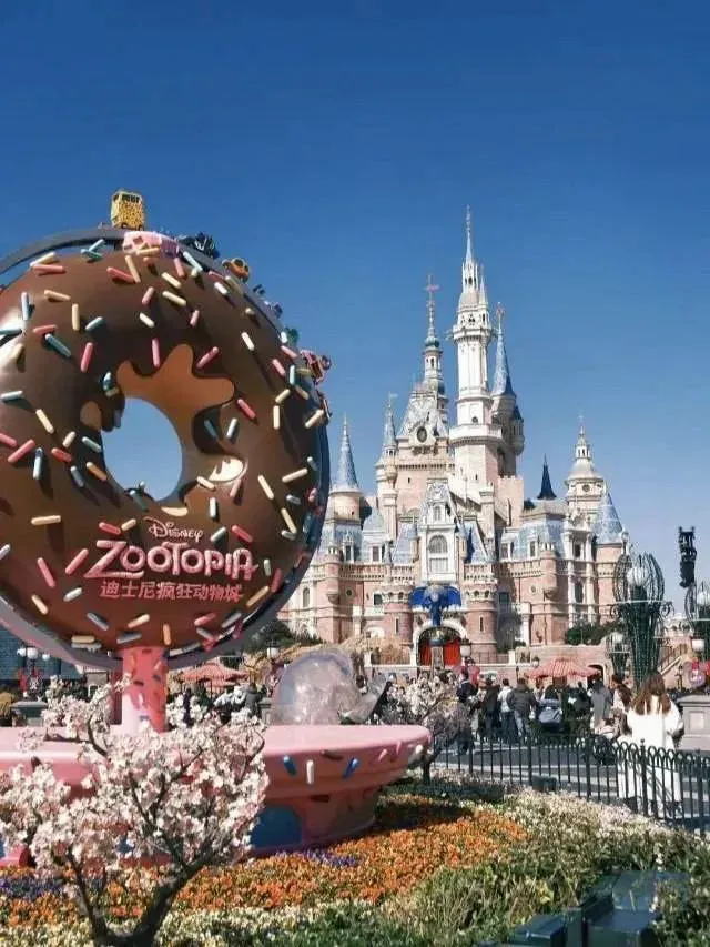 Internet access in Shanghai Disney to navigate