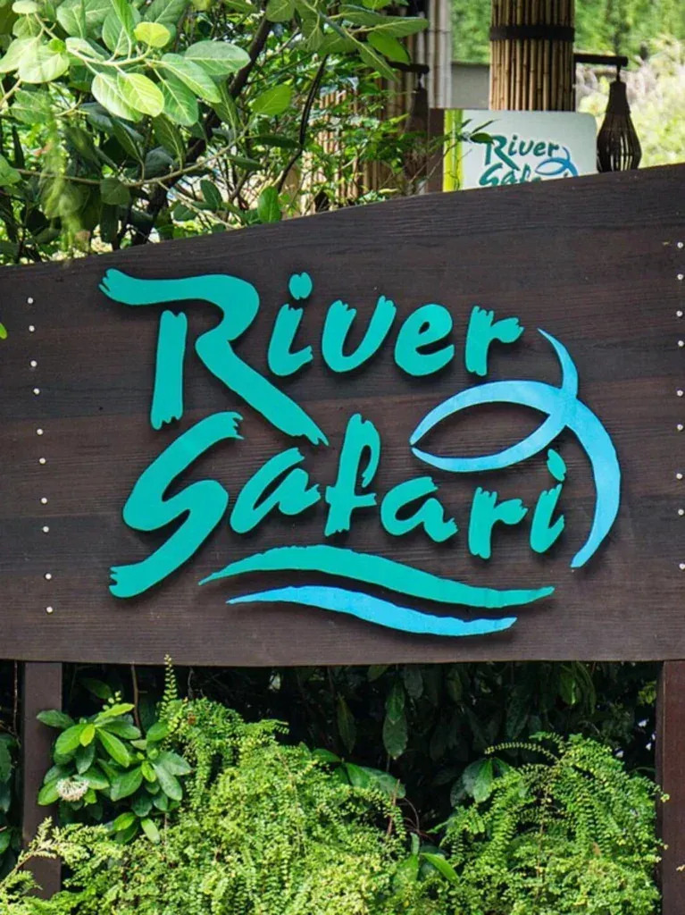 Singapore travel-river safari