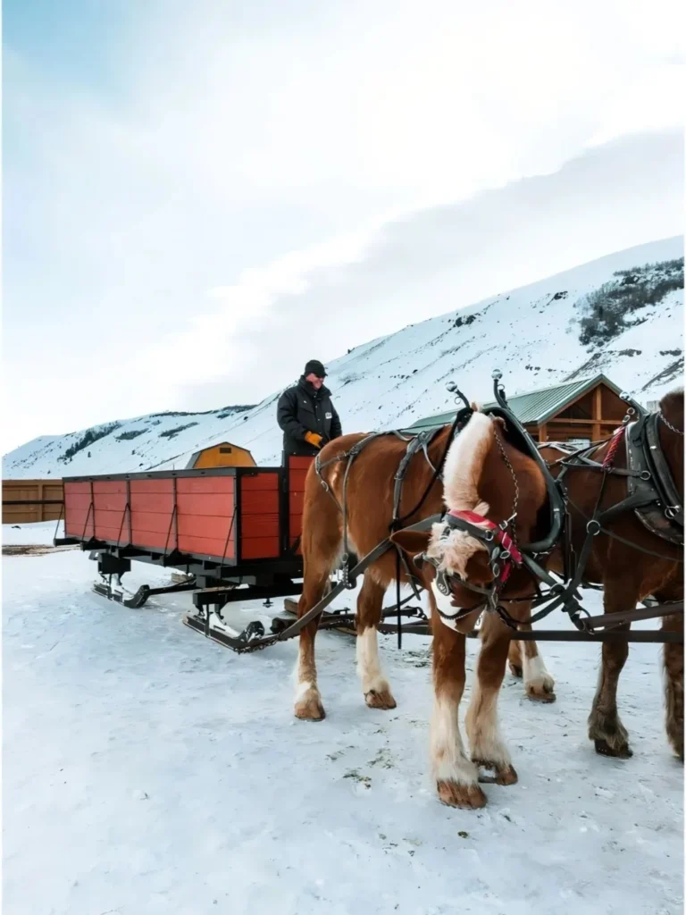 Unexpected January travel spots-yellow stone national park January travel destinations-yellow stone national park