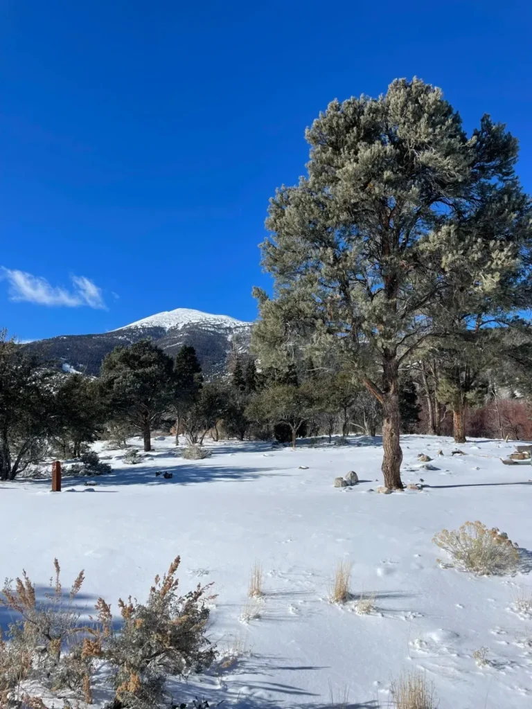 Unexpected January travel spots-great basin national park great basin national park