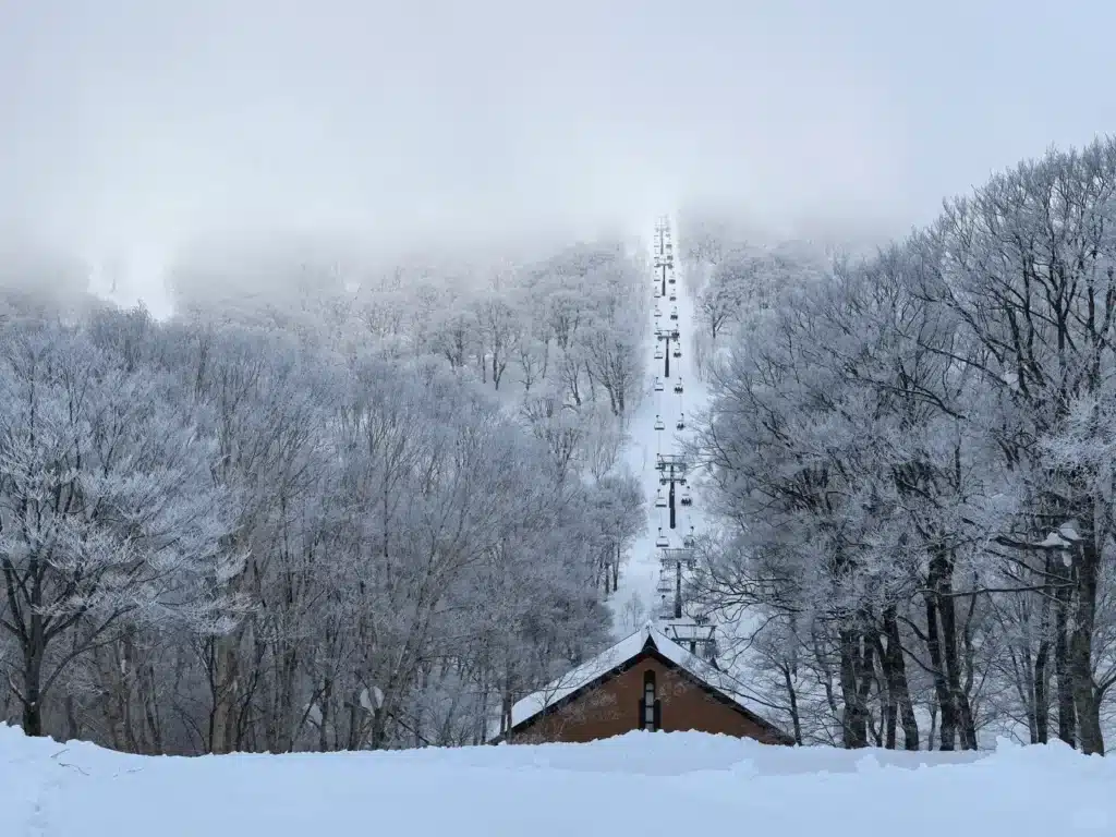 Street view of Nozawa Onsen village with steam rising | Traditional Japan ski town atmosphere