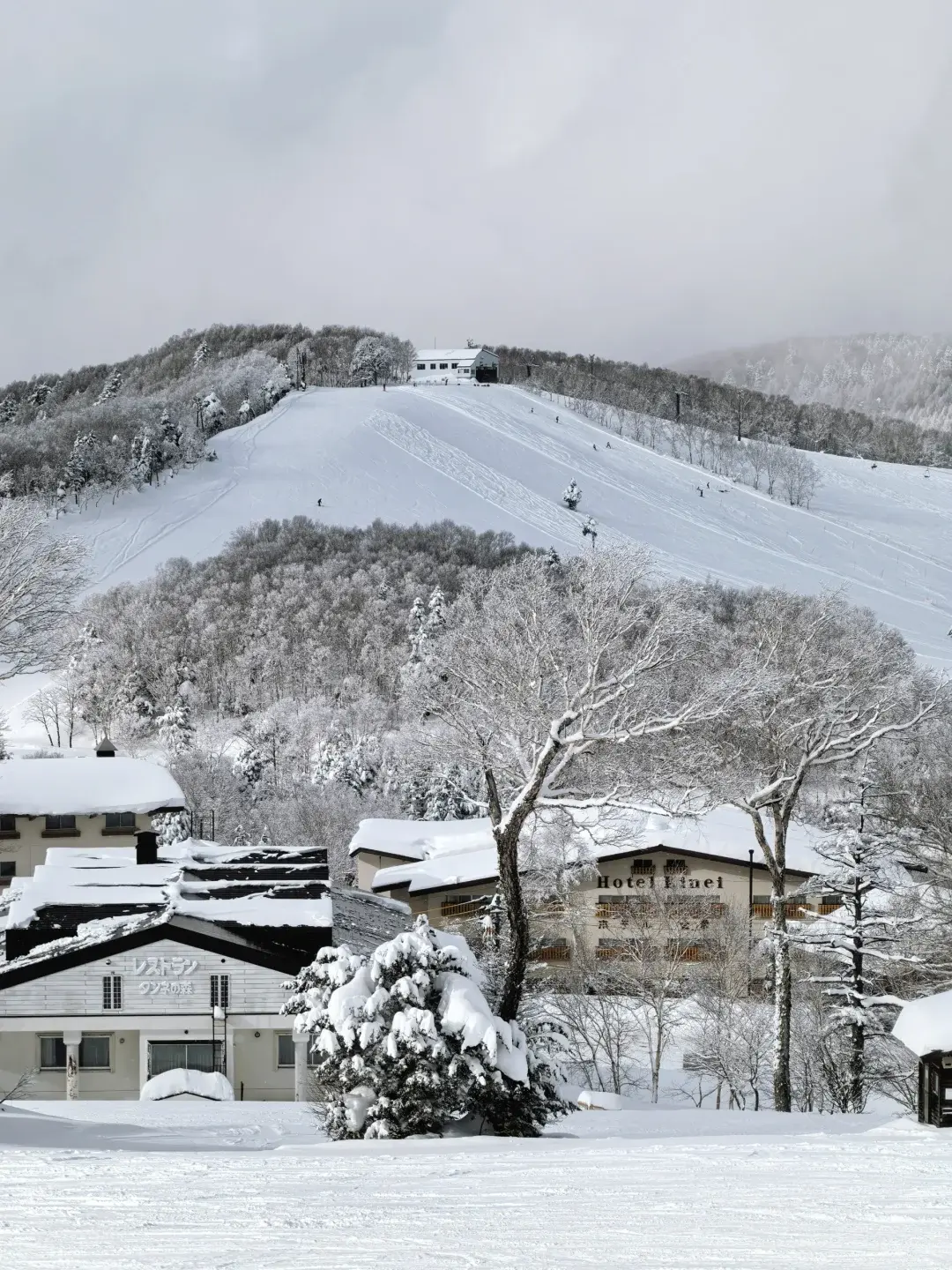 Panoramic view of Shiga Kogen ski area with multiple wide runs and forested slopes