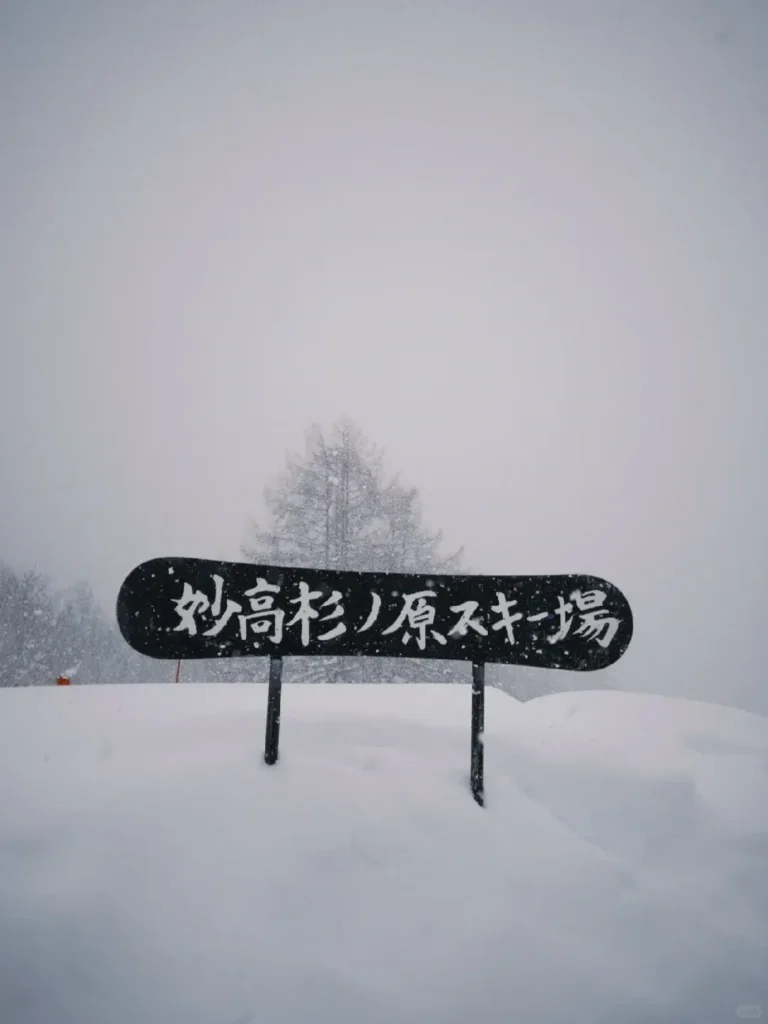 Skier in deep tree powder at Myoko Kogen boutique ski and wellness resort in Japan