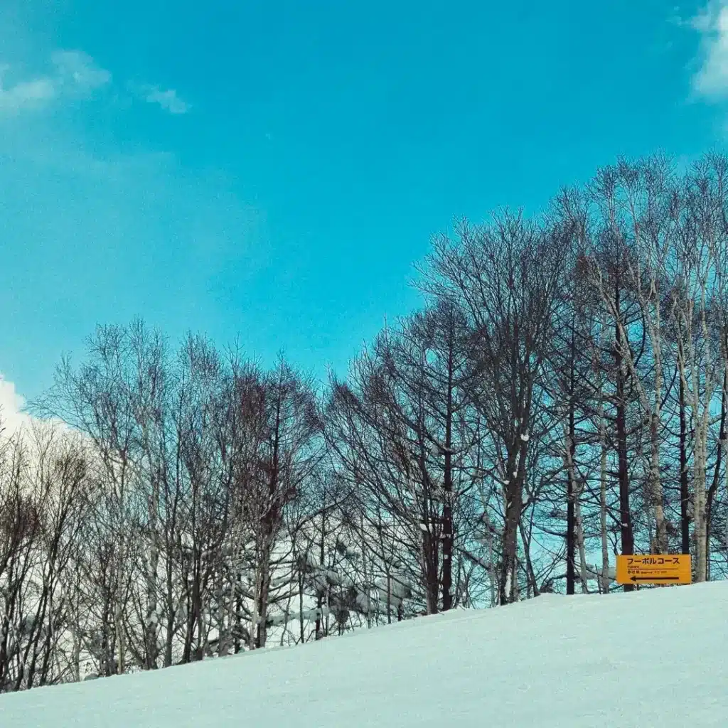 Rusutsu ski resort sight - ski resorts in asia