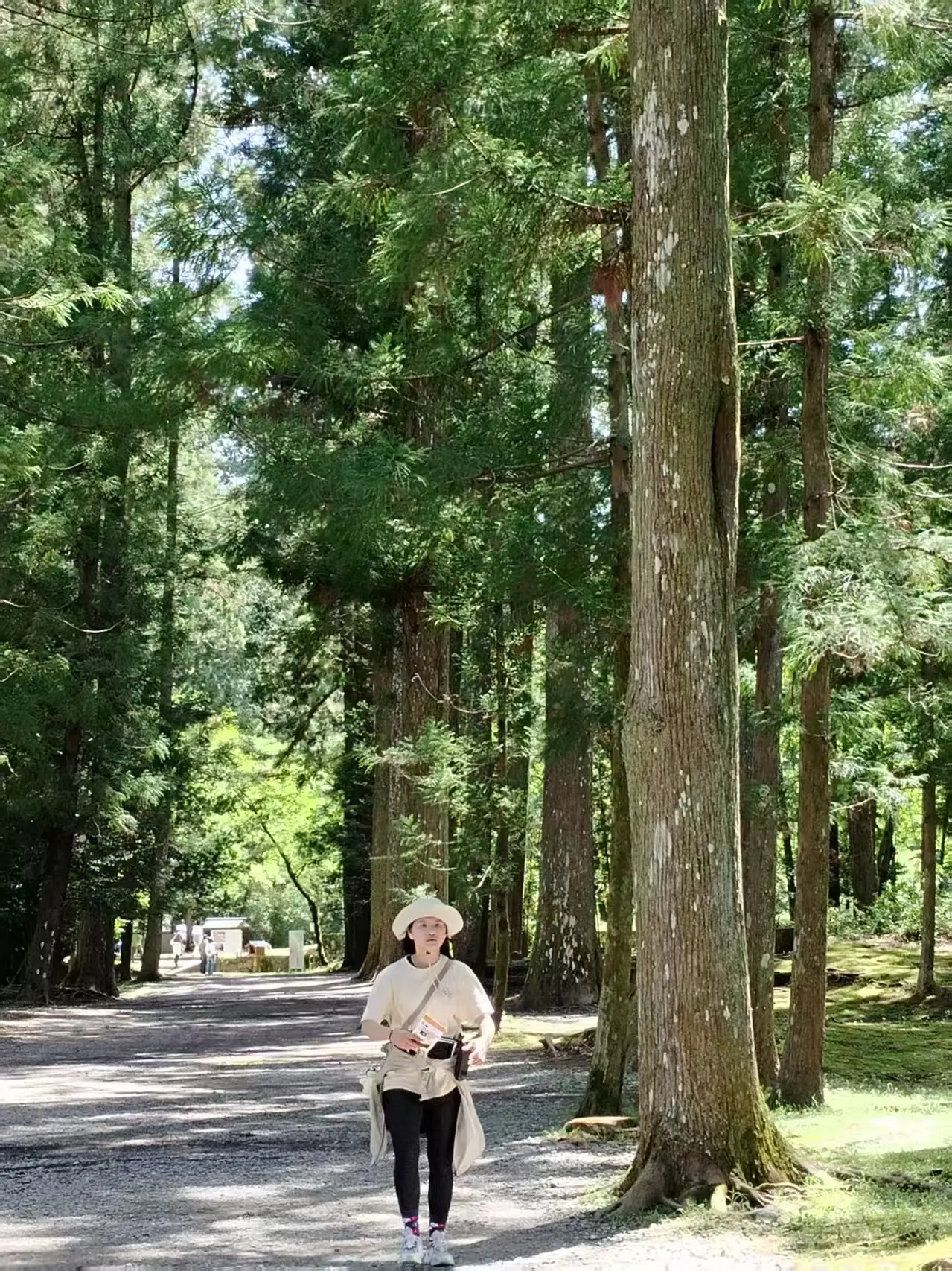 on the Kumano kodo hosshinmon-oji shrine stamp